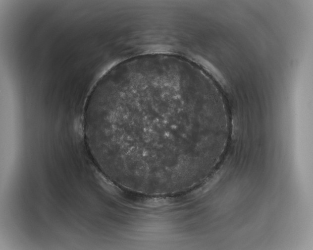 X0000115341212200911091258