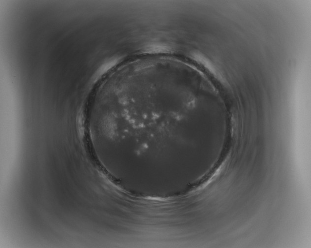 X0000115341213200911091258
