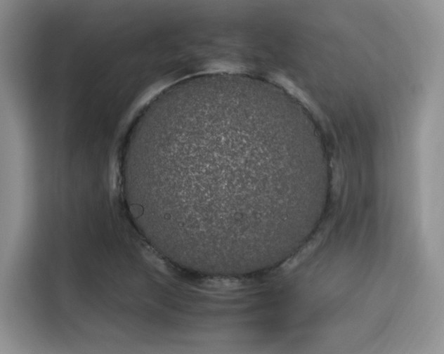 X0000115341215200911091258