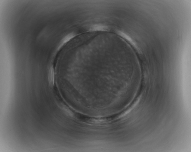 X0000115341219200911091258