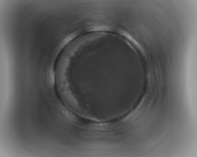 X0000115341221200911091258