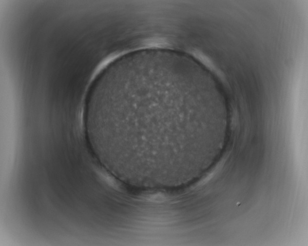 X0000115341222200911091258