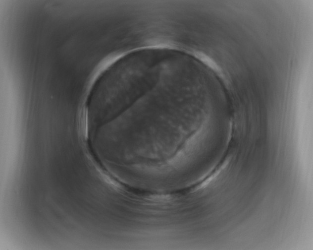 X0000115341223200911091258