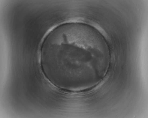 X0000115341224200911091258