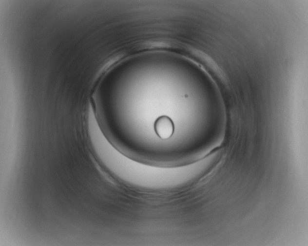 X0000115341225200911091258