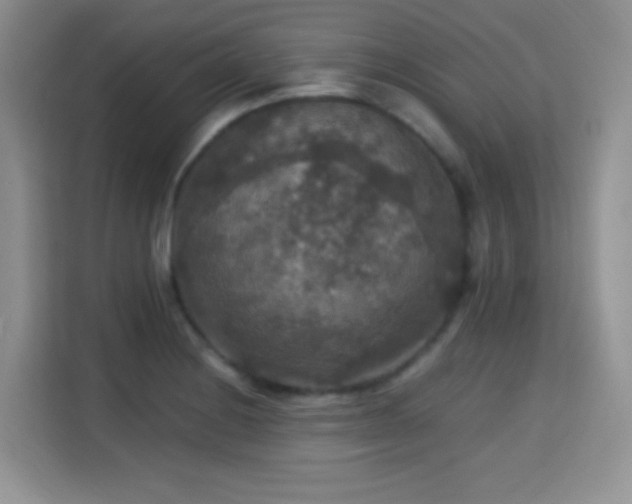 X0000115341228200911091258