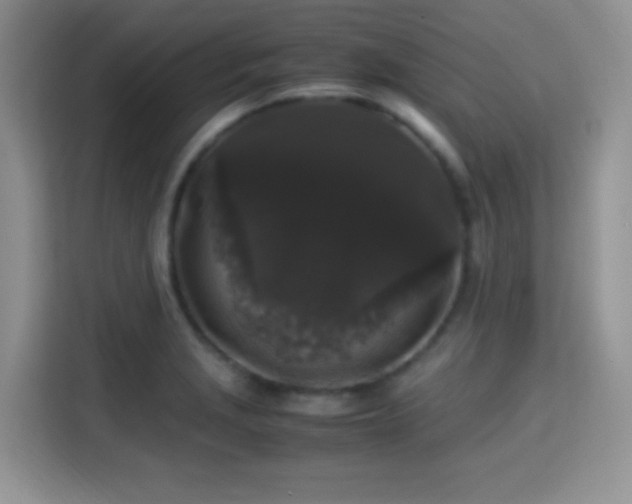 X0000115341229200911091258