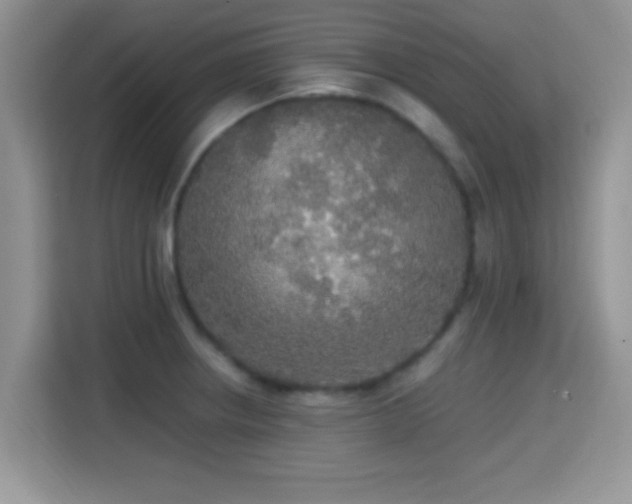 X0000115341234200911091258