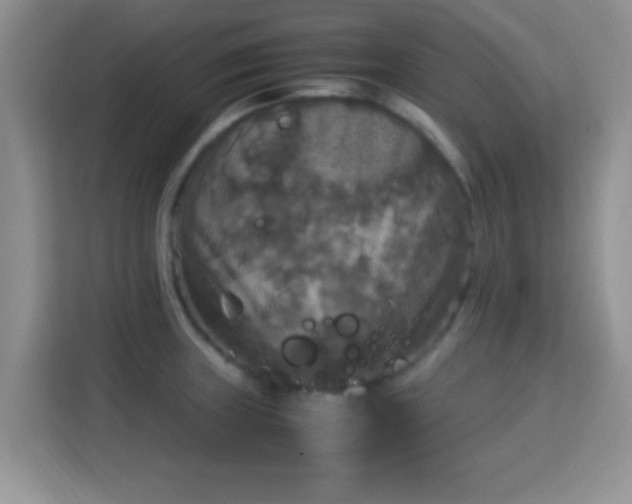X0000115341235200911091258