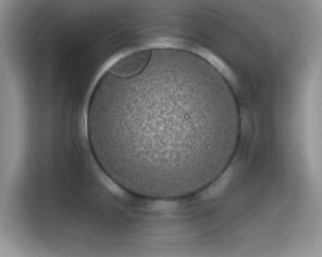 X0000115341238200911091259