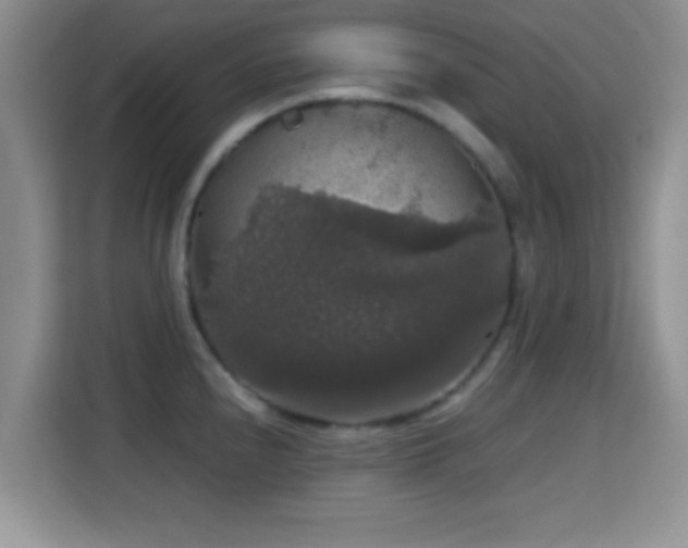 X0000115341240200911091259