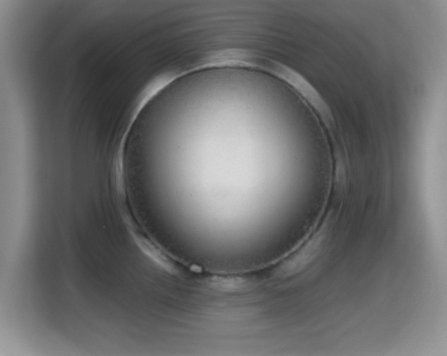 X0000115341242200911091259