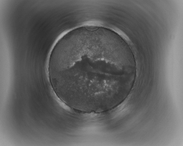 X0000115341248200911091259