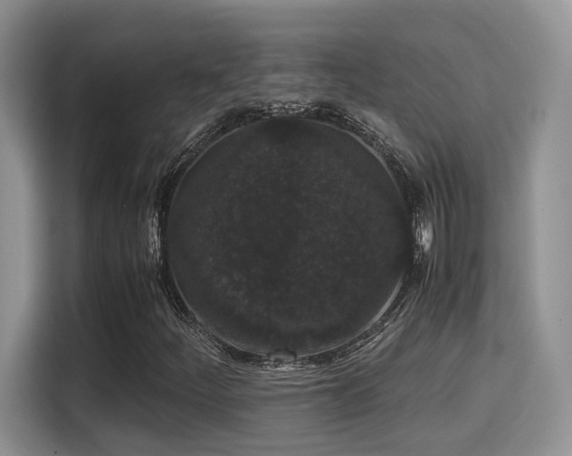 X0000115341252200911091258