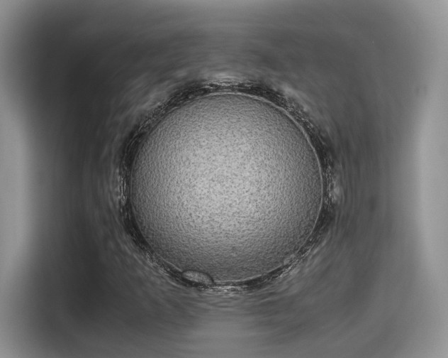 X0000115341253200911091258