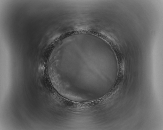 X0000115341254200911091258