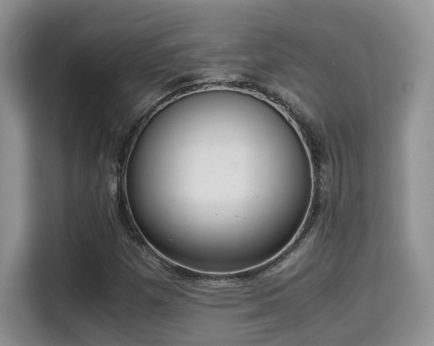 X0000115341257200911091258