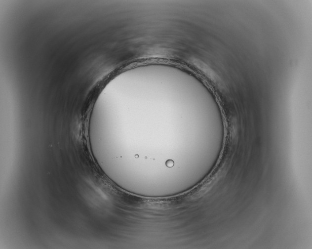 X0000115341258200911091258