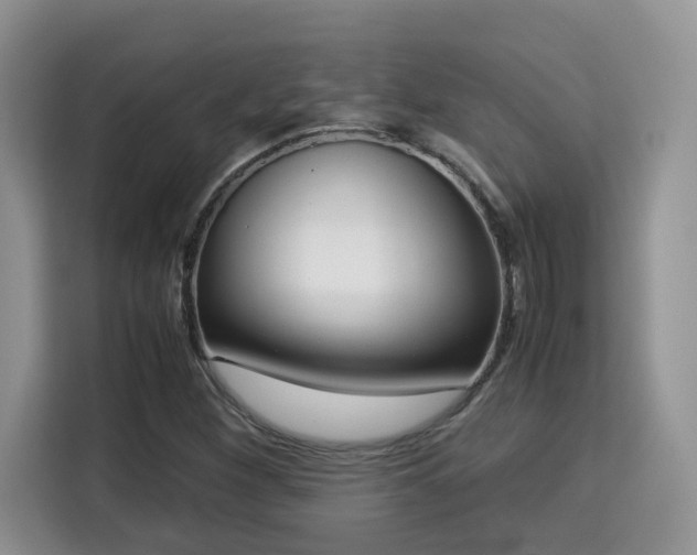 X0000115341260200911091258