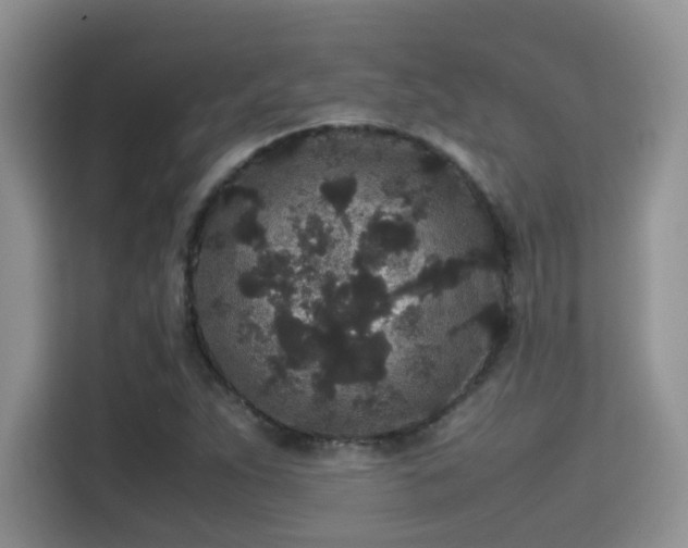 X0000115341263200911091258