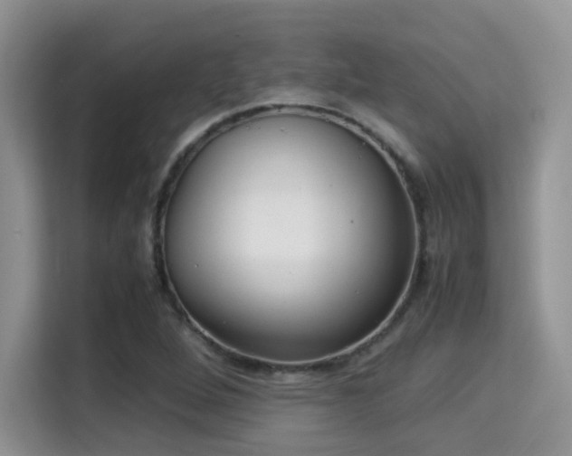 X0000115341264200911091258