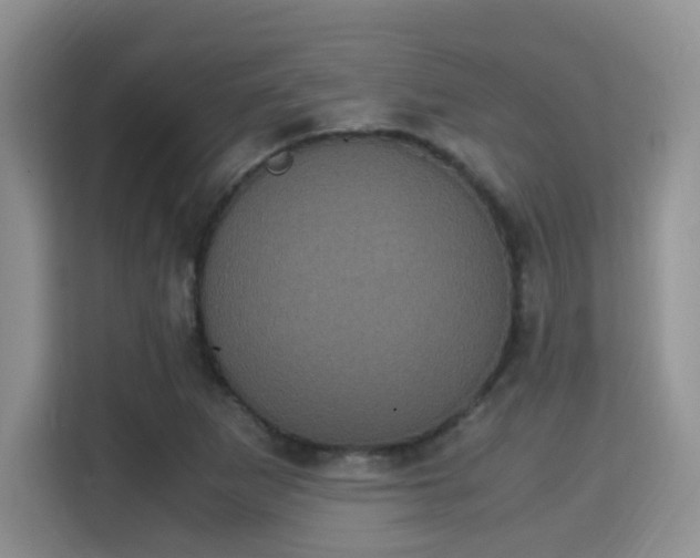 X0000115341265200911091258