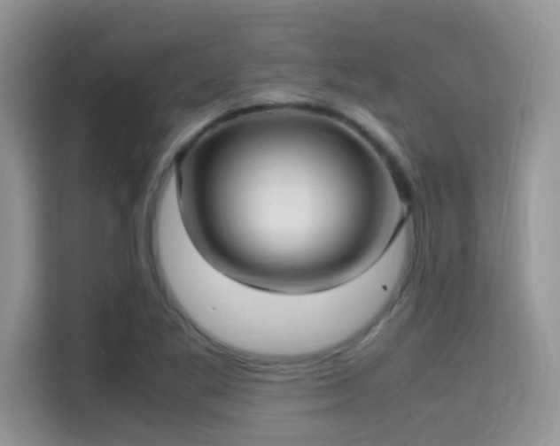X0000115341269200911091258