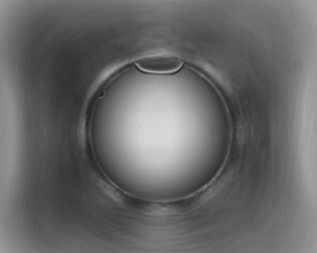 X0000115341270200911091258