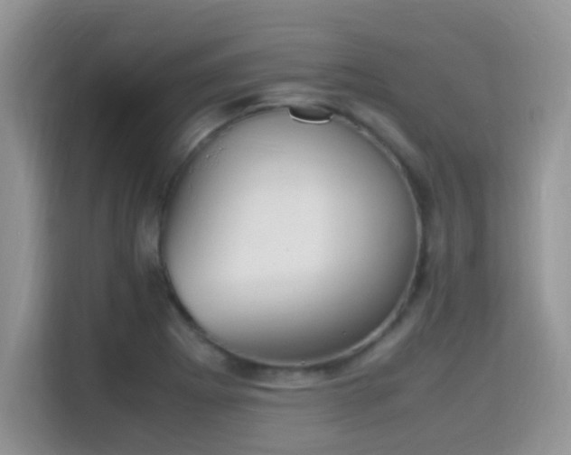 X0000115341273200911091258