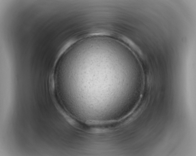 X0000115341274200911091258