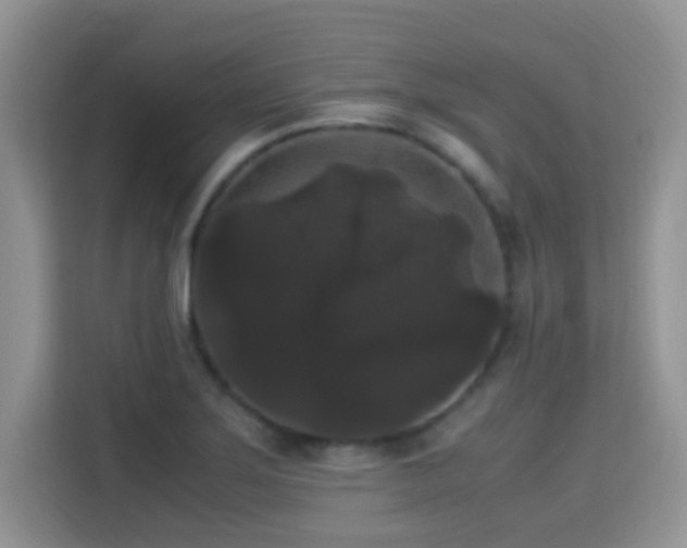 X0000115341275200911091258
