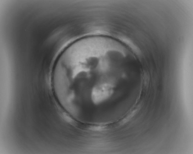 X0000115341278200911091258