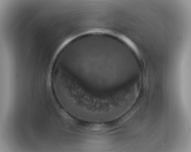 X0000115341279200911091258