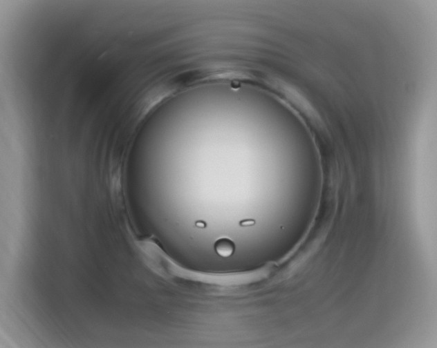 X0000115341281200911091258