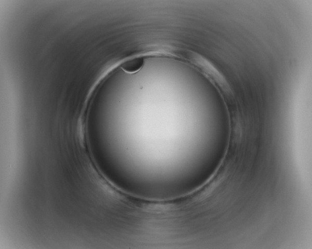 X0000115341284200911091258