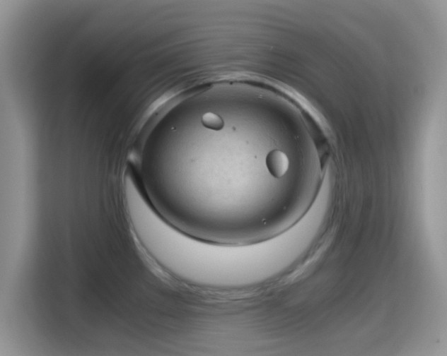 X0000115341289200911091258