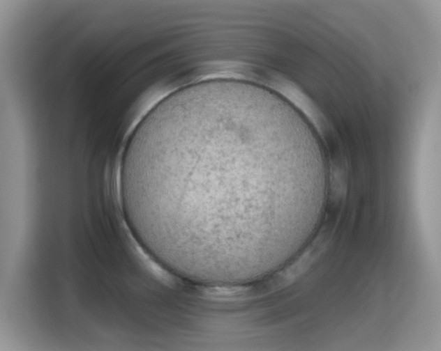 X0000115341290200911091258
