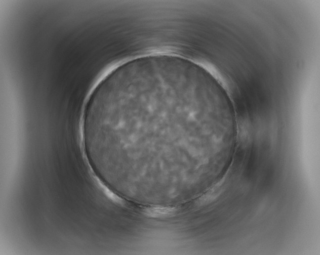 X0000115341294200911091257