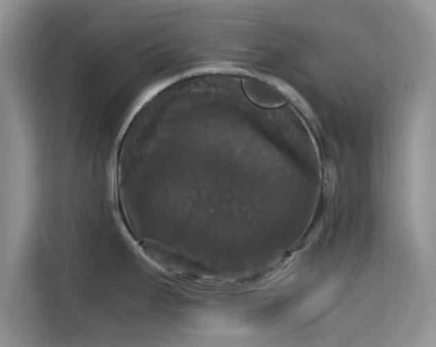 X0000115341295200911091257