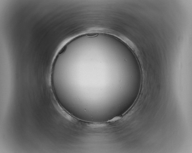 X0000115341296200911091257