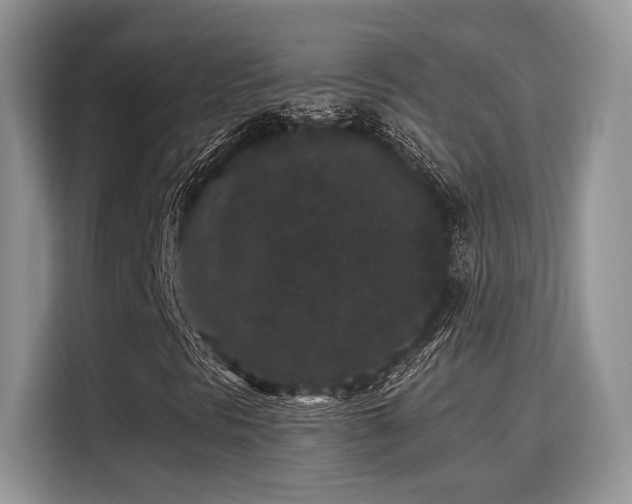 X0000115341297200911091257