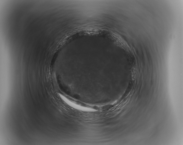 X0000115341298200911091257