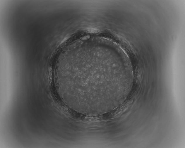 X0000115341301200911091257