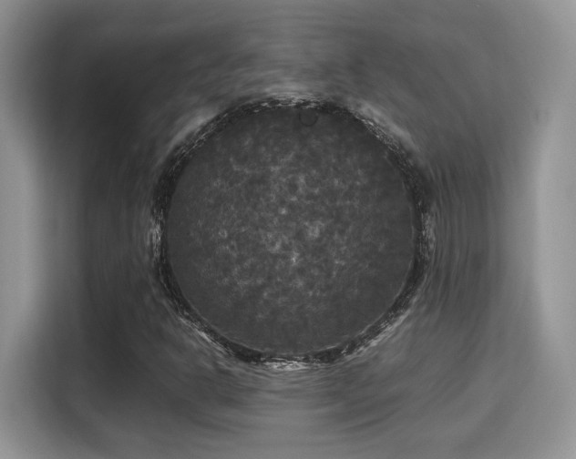 X0000115341302200911091257