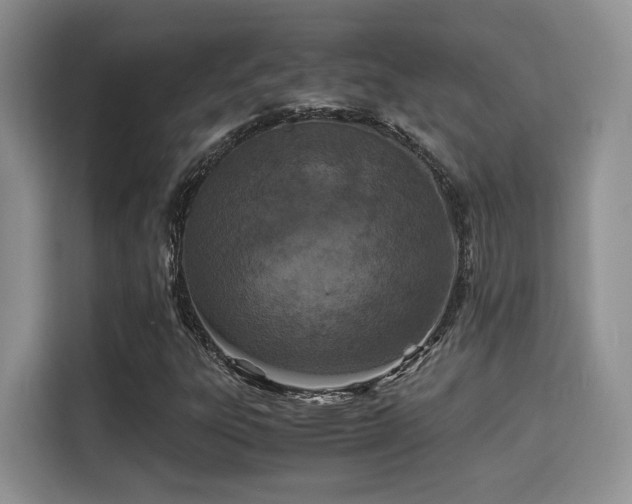 X0000115341303200911091257