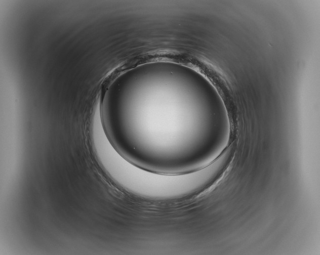 X0000115341305200911091257