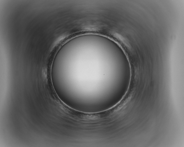 X0000115341307200911091257