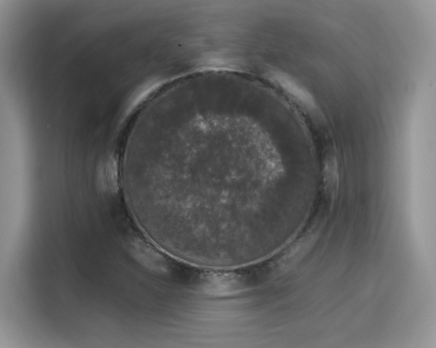 X0000115341310200911091257