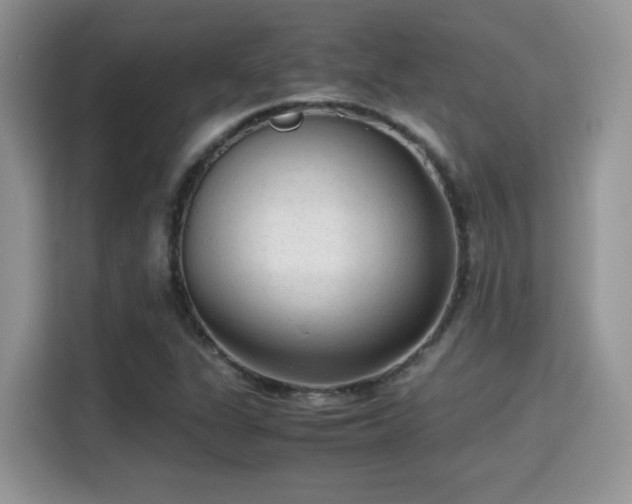 X0000115341311200911091257