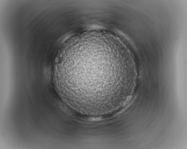 X0000115341313200911091257